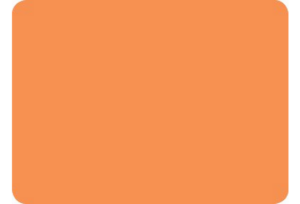 22. Compacto naranja COMPACTO NARANJA REF. 861 12 MM