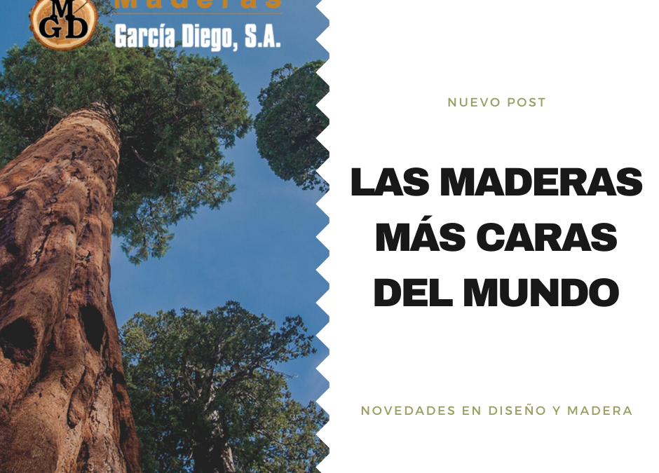 Las maderas más caras del mundo